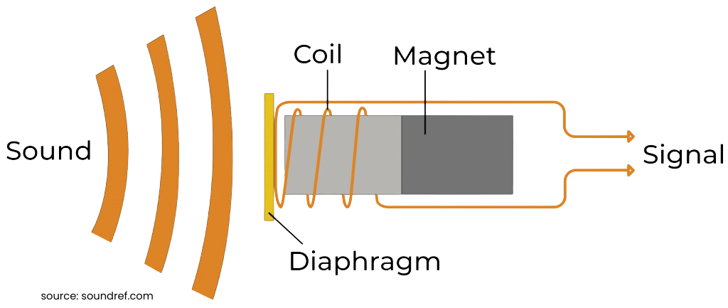 Dynamic Microphone